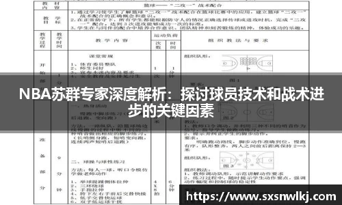 NBA苏群专家深度解析：探讨球员技术和战术进步的关键因素